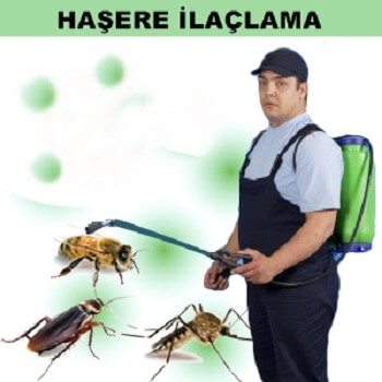 Selim Böcek İlaçlama